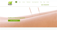 Desktop Screenshot of jchew-acupuncture-medical.com